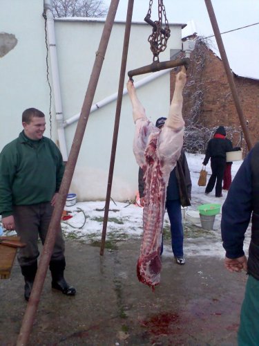 Vepřové hody - 29.12.2006